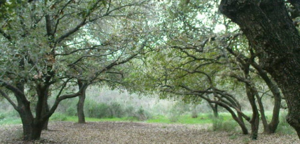 ד"ר עירית בלובשטיין – מקום וזמן לטפל בעצמך